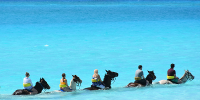 Horse Riding in the Caribbean