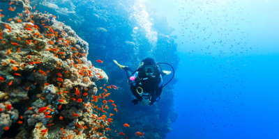 diving barbados