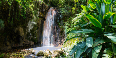 lush waterfall 