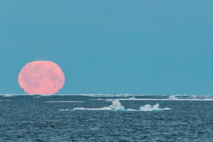 baffin island full moon