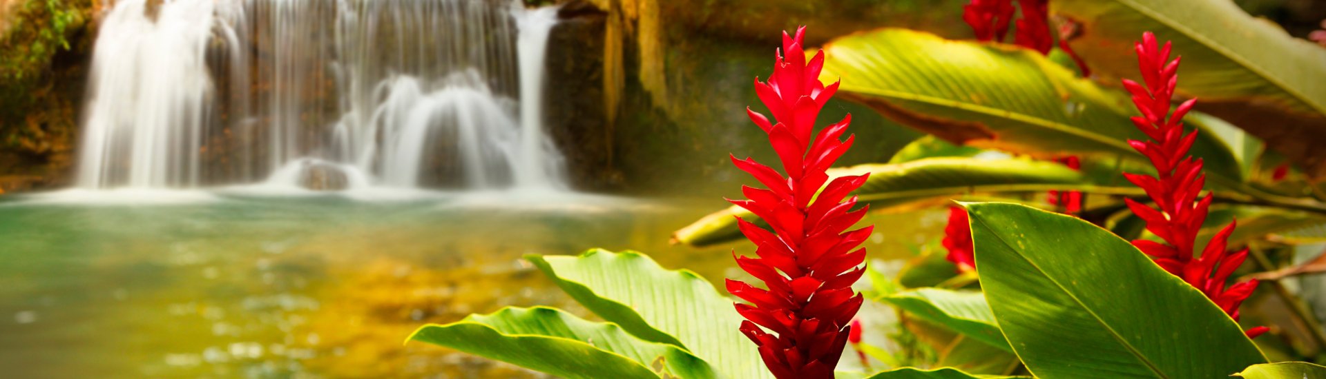 tropical waterfall