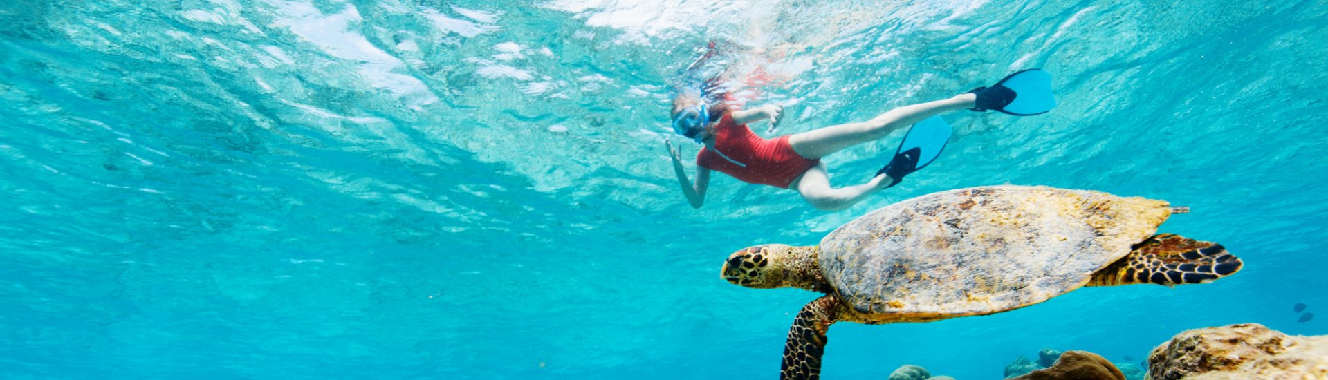 snorkeling with turtle