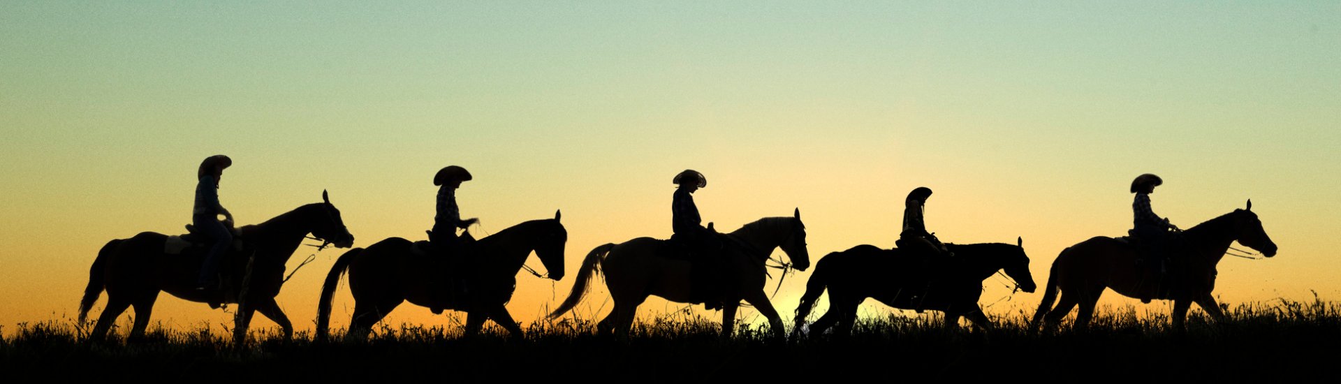 horseback riding