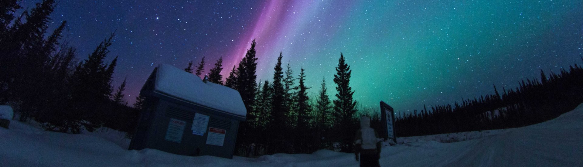 northern lights north west canada