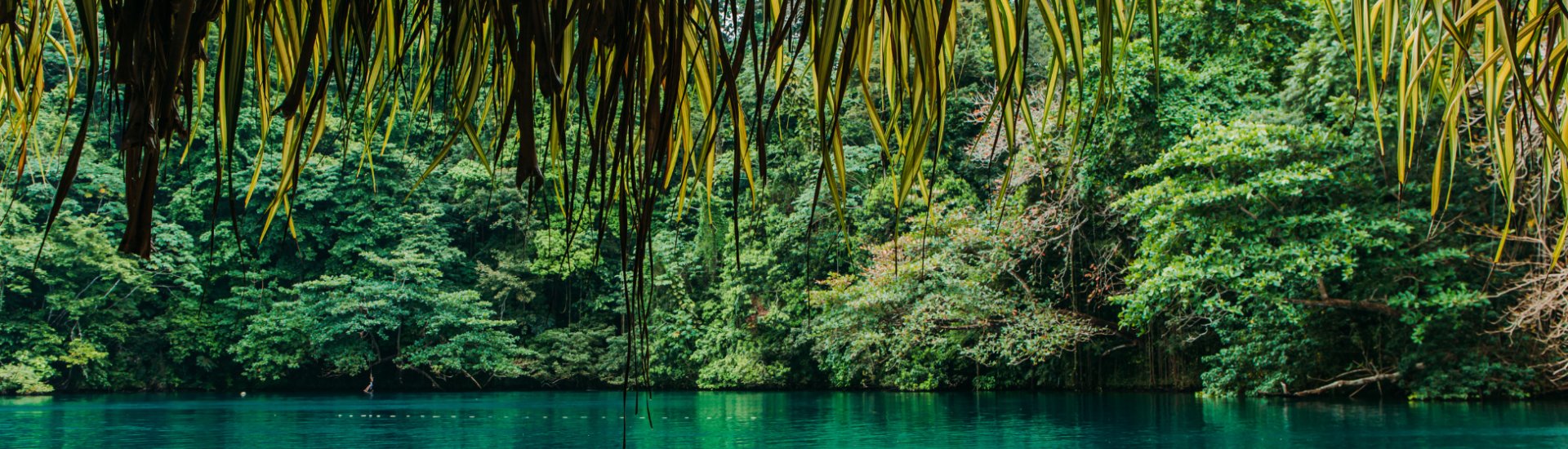 blue lagoon portland jamaica