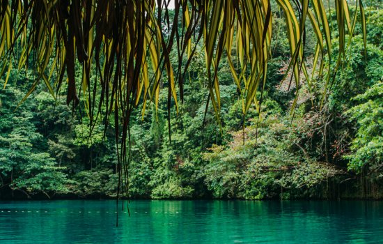 blue lagoon portland jamaica