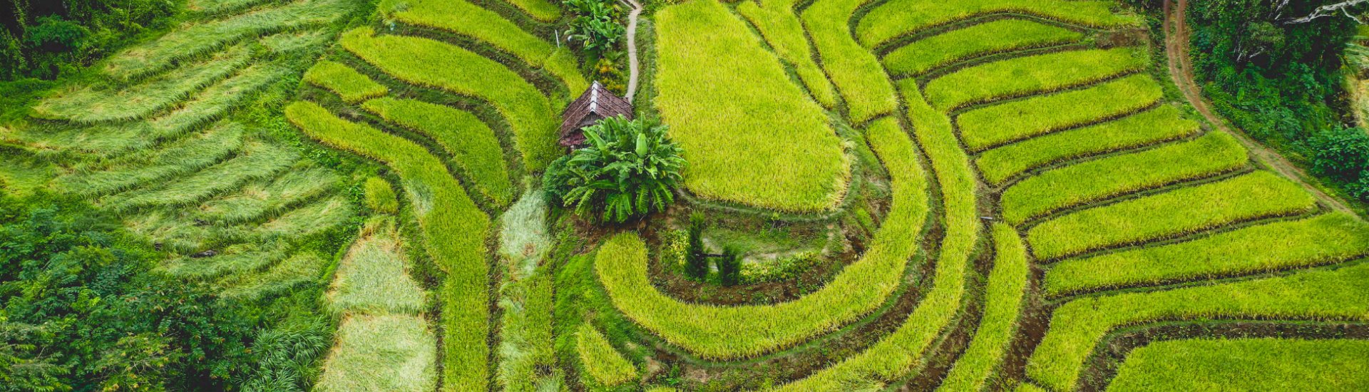Thailand hills 