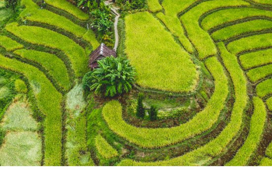Thailand hills 