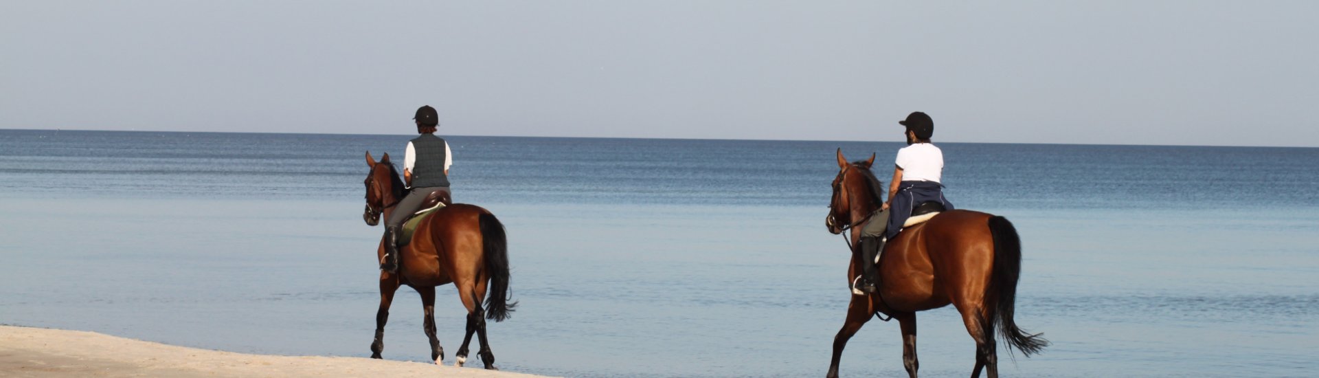 Beach horse riding