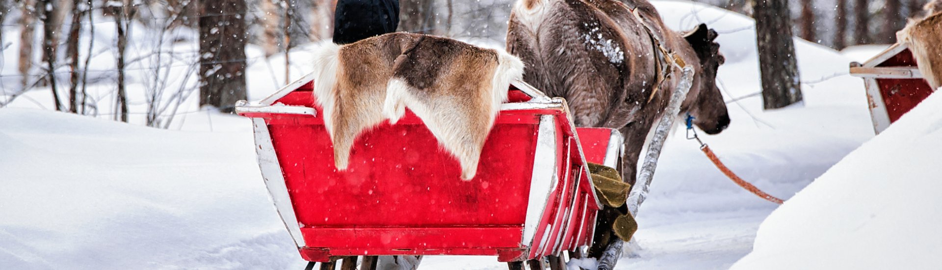 Rovaniemi, Finnish Lapland